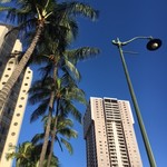 Kuhio Beach Grill - お散歩ちゅう