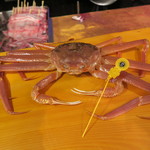 うなぎ屋酒坊・画荘 越後屋 - 焼き越前ガニ