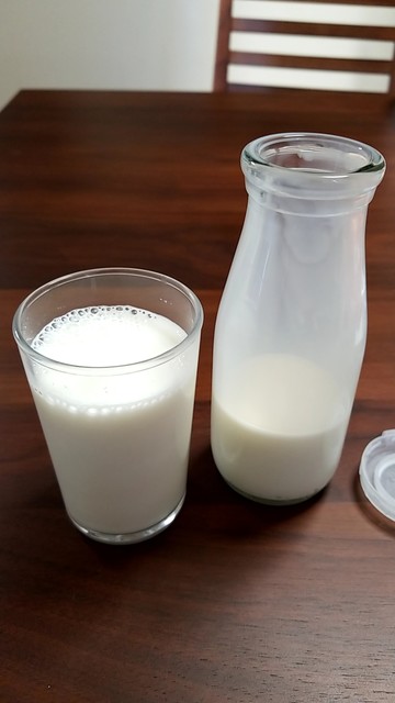 瓶の牛乳を購入しました By 無芸小食 まきば売店 マザー牧場 富津市その他 洋菓子 その他 食べログ