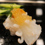 寿司 もり田 - 烏賊