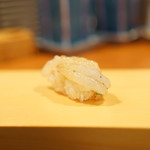 こい勢 - がさえび