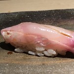 菊鮨 - 白アマダイ
