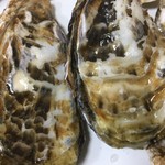 丸義商店 - 桃取産セル牡蠣
