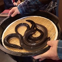 入谷鬼子母神門前のだや - 