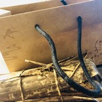 恵比寿 くろいわ - 