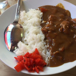 一江庵 - 2018年12月。半カレー300円。ラーメンとセットだと250円。