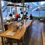 CAFE BLOOM - 