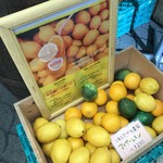 Akashitei Uonotana - 三重県たかみ農園のレモンが販売されていました（２０１８．１２．２４）