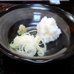 Sayama Okina - おろしの薬味