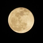 この日は見事な満月でした