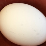 すき家 - 別添えの卵