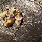 リストランテ リンコントロ - 