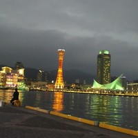 THE KOBECRUISE コンチェルト - 