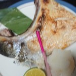 Salt-grilled yellowtail kama with grated ponzu sauce