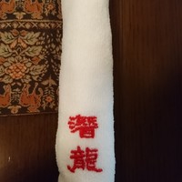 潜龍 - 