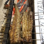 旬ものと日本酒 とみ笑 - 児島湾産青鰻素焼き