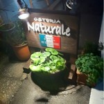 OSTERIA Naturale - 