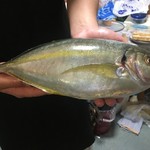 角上魚類 - シマアジ2500円位