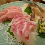 浜勢 - カマトロ、真鯛、北寄貝の刺身