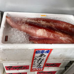 廻鮮寿司 塩釜港 - 入り口には鎮座していた「あおりイカ」…