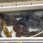 廻鮮寿司 塩釜港 - お魚さんたちは、まだ生きています！！