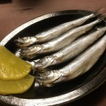 ここからビート。 - ししゃもは４匹
