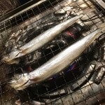ここからビート。 - ２匹づつ焼きます