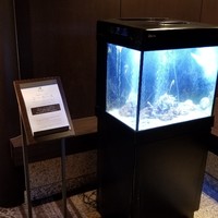 メインダイニング シーホース - 