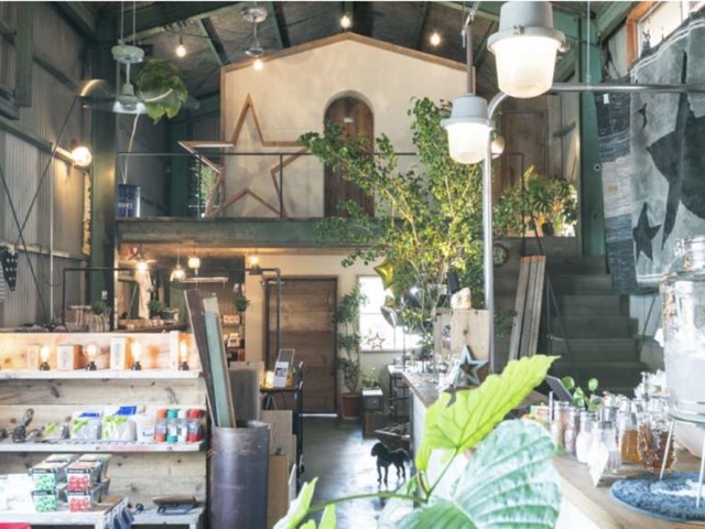 zono☆ Cafe Zakka photo 4