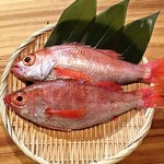 鮨弥栄 - 脂の乗りが最高ののどぐろ
