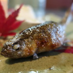 日本料理 きた川 - 鮎