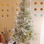 レストラン・ドゥースドゥース - 