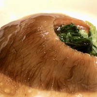 ミモザ - 