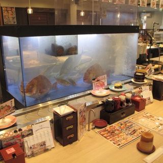 店内のいけすからさばきたての鯵、アワビ、サザエ等をご提供。