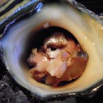 とり松 - サザエに・・・