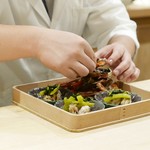 富小路 やま岸 - 