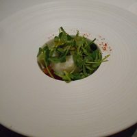 アニエルドール - サクラマスのタルタル