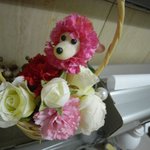 主水 - プードル（お手洗いにて）