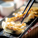 Grilled Gyoza / Dumpling (7 pieces)