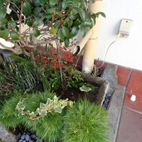 ステーキハウスはまだ - 