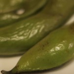 酒菜坊 橋蔵 - 焼そら豆　ズームアップ