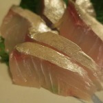 酒菜坊 橋蔵 - しまあじ刺　ズームアップ