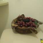 酒菜坊 橋蔵 - 厠