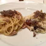 TRATTORIA ALBERO - 