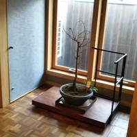 路地との本 - 内観