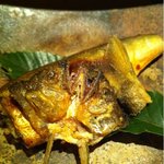 銀座 とよだ - 子持ち鮎の柚香焼き
      
