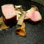 オッジ ダルマット - アップ