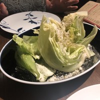 biodinamico - 