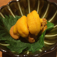 馬桜 下通り店 - 大人の贅沢「生うに」一人前1100円(税別)