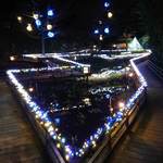 うかい鳥山 - 野草園のイルミネーション